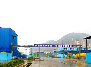 企業(yè)風(fēng)貌